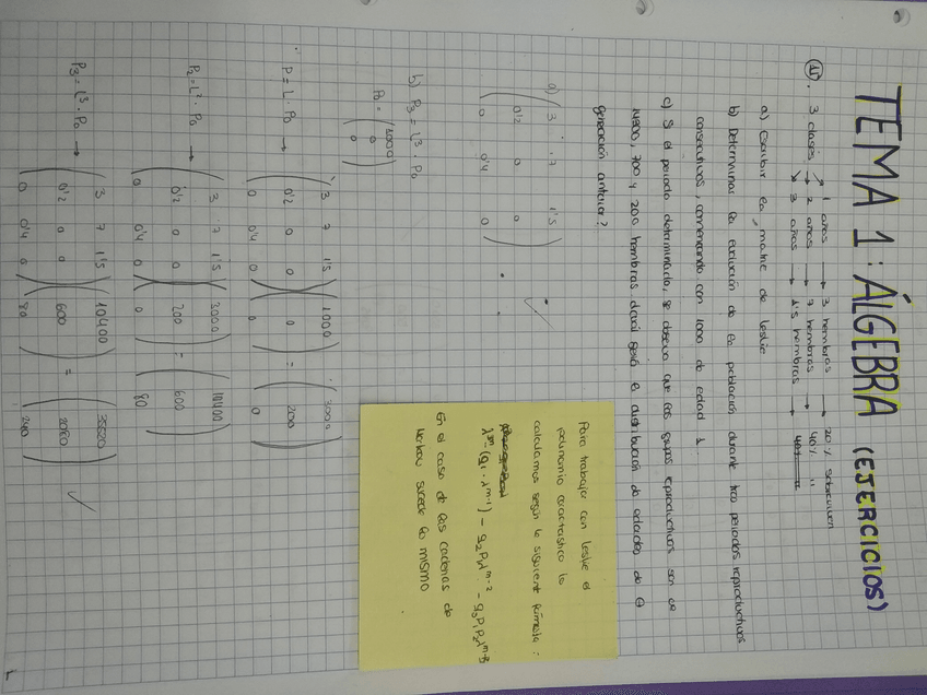 Miniatura del documento 1547205045794902676724.jpg