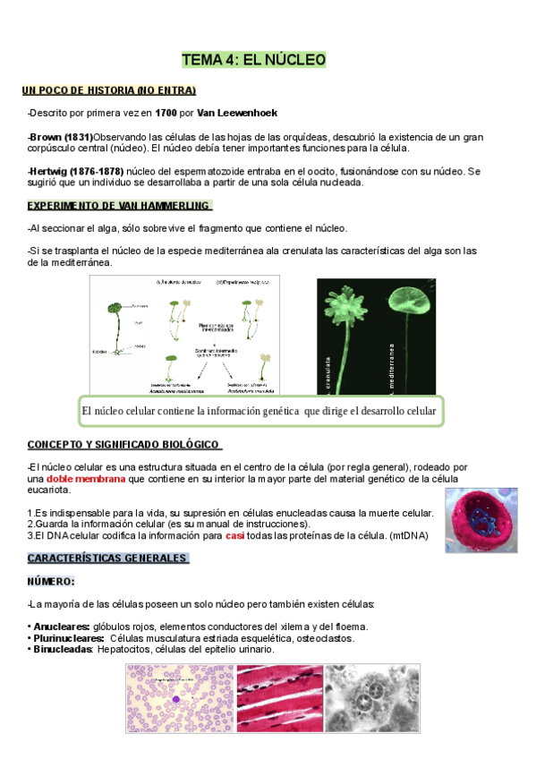Miniatura del documento TEMA-4.pdf