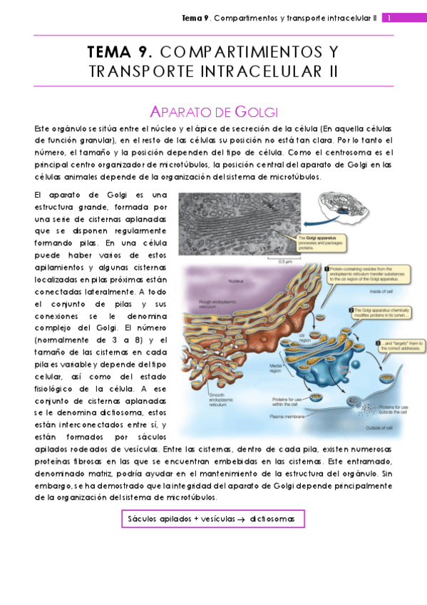 Miniatura del documento Tema 9.pdf