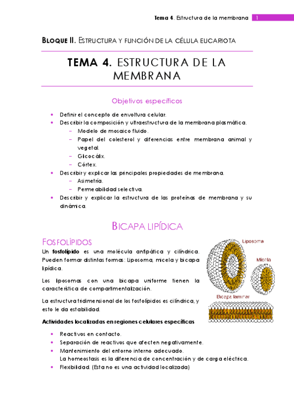 Miniatura del documento Tema 4.pdf