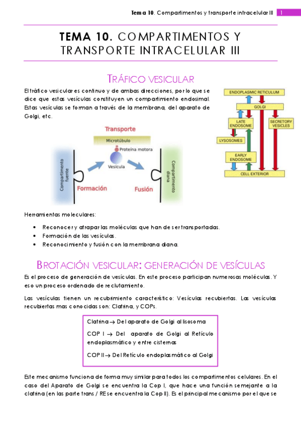 Miniatura del documento Tema 10.pdf