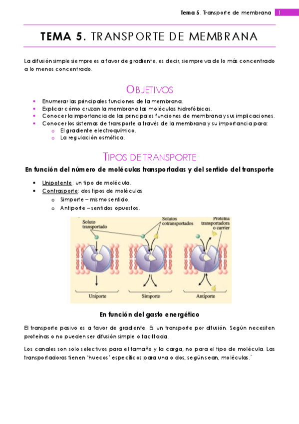 Miniatura del documento Tema 5.pdf