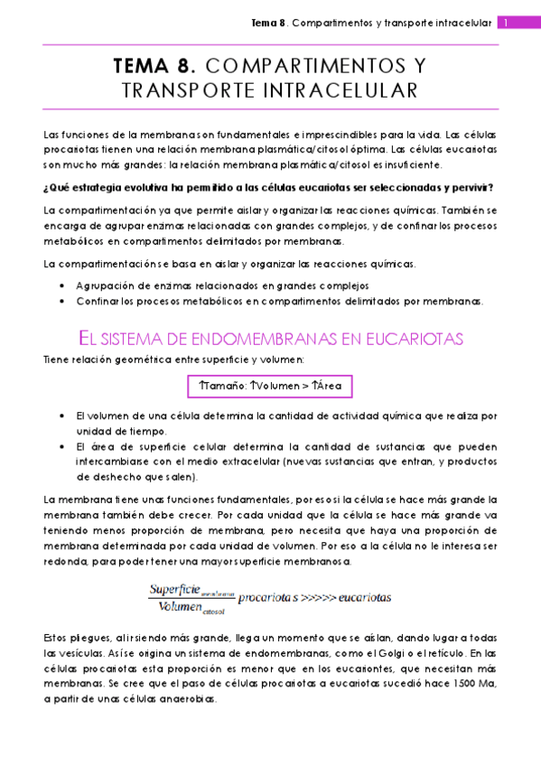 Miniatura del documento Tema 8.pdf
