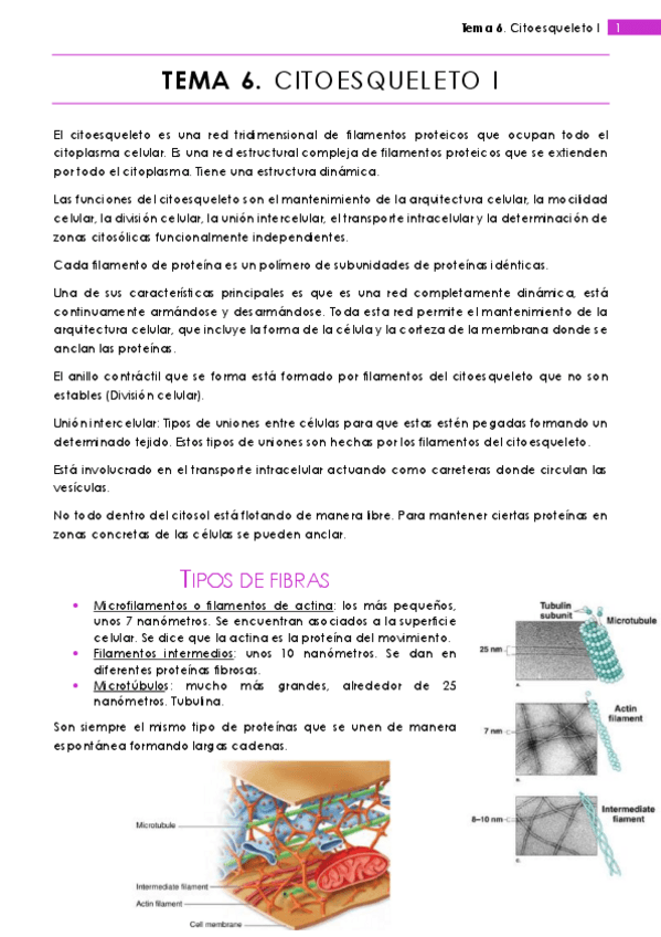 Miniatura del documento Tema 6.pdf