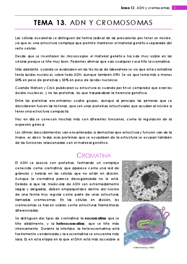 Miniatura del documento Tema 13.pdf