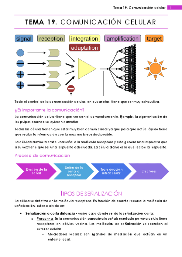 Miniatura del documento Tema 19.pdf