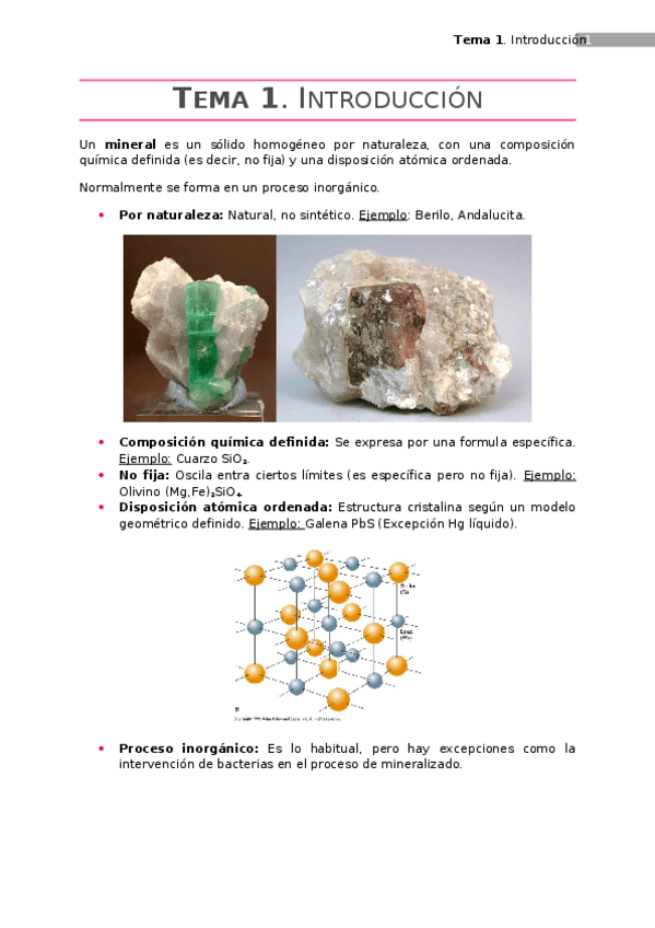 Miniatura del documento Tema 1.docx