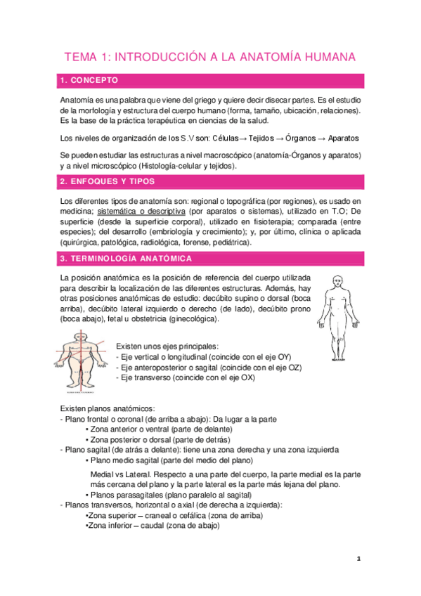 Miniatura del documento Tema-1.-INTRODUCCION-A-LA-ANATOMIA.pdf