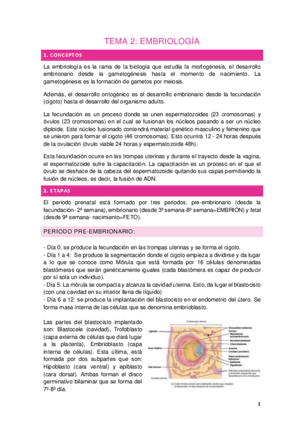 Miniatura del documento Tema-2.-EMBRIOLOGIA.pdf