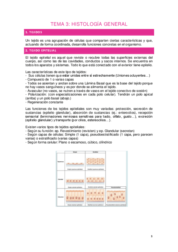 Miniatura del documento Tema-3.-HISTOLOGIA-GENERAL.pdf