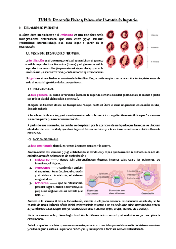 Miniatura del documento TEMA-5.pdf
