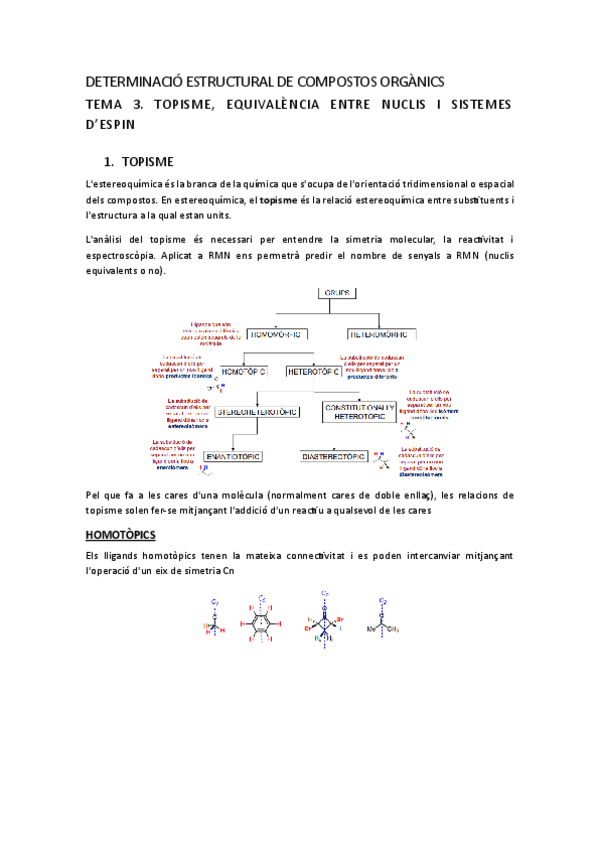 Miniatura del documento DECO-TEMA-3.-RMN-II-Topisme.pdf