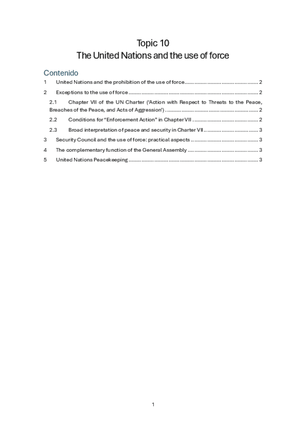 Miniatura del documento IO-Topic10-UN-and-the-Use-of-Force.pdf