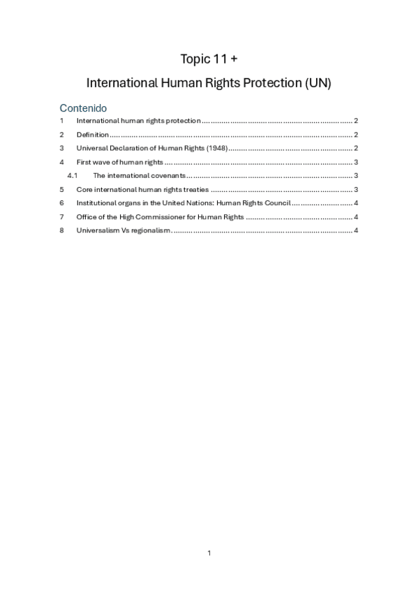 Miniatura del documento IO-Topic11-Human-Rights-.pdf