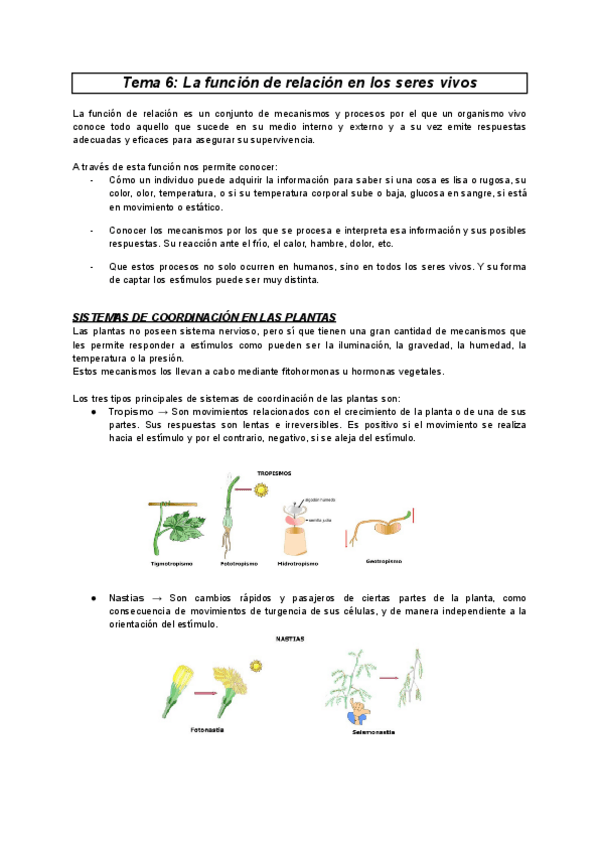 Miniatura del documento Parcial-2-Didactica-de-las-ciencias.pdf