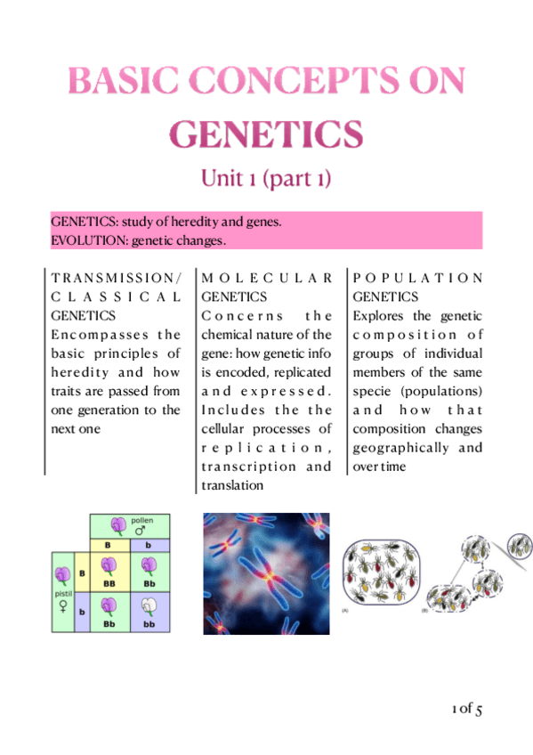 Miniatura del documento Genetics-Basic-concepts.pdf
