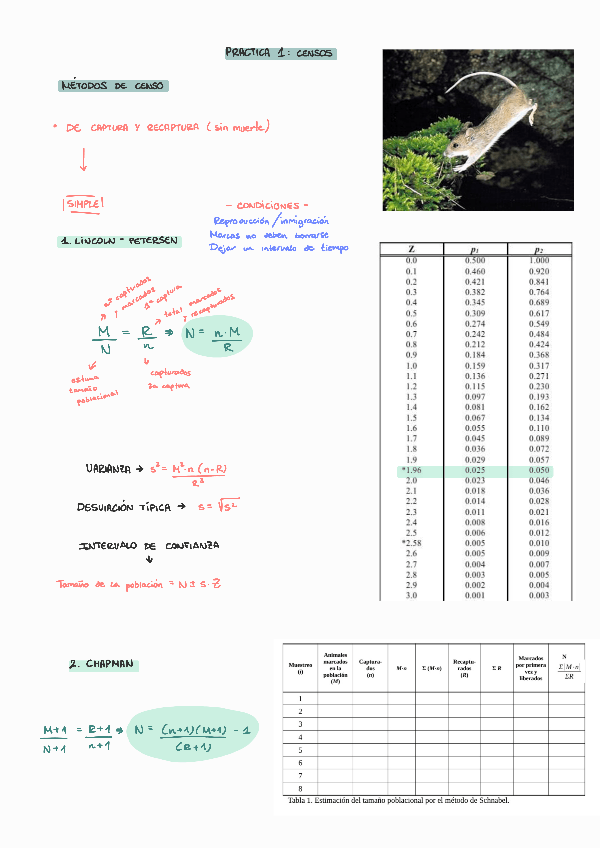 Miniatura del documento LAB1-CENSOS.pdf