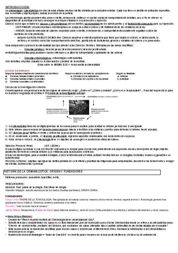 Miniatura del documento introduccion-y-comienzos-de-tema.pdf