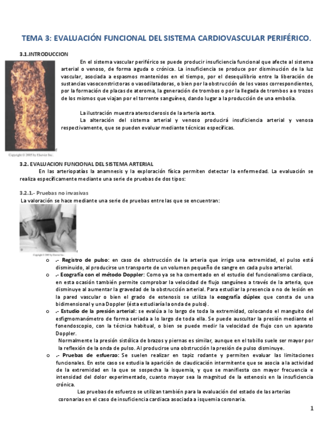 Miniatura del documento Tema 3 Bloque 3.pdf