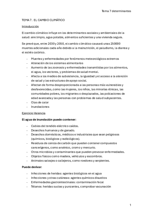 Miniatura del documento TEMA-7-DETERMINANTES-PROF-CRISTINA-MARTIN.pdf