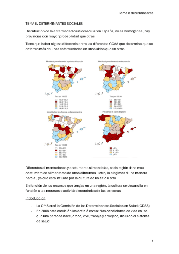 Miniatura del documento TEMA-8-DETERMINANTES-PROF-CRISTINA-MARTIN.pdf
