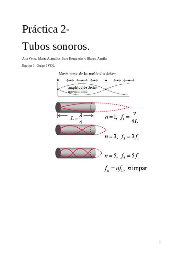 Miniatura del documento Practica-2-Ampliacion-de-Fisica.pdf