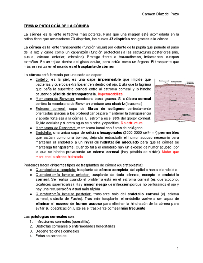 Miniatura del documento TEMA-6-Patologia-de-la-cornea.pdf