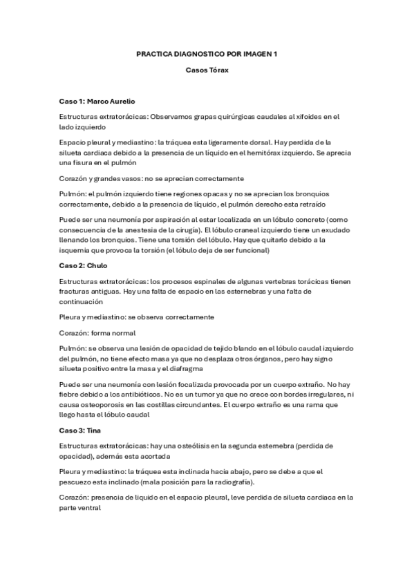 Miniatura del documento Casos-DPI-torax.pdf