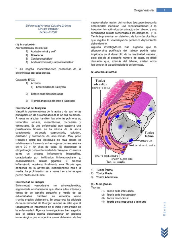 Miniatura del documento 17 Resumen EAOC.pdf