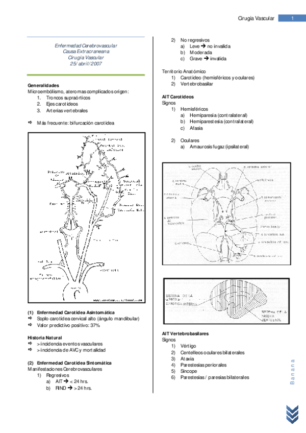 Miniatura del documento 18 Resumen Enfermedad Cerebrovascular de Causa Extracraneana.pdf