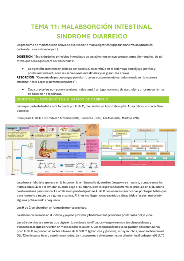 Miniatura del documento TEMA-11.pdf