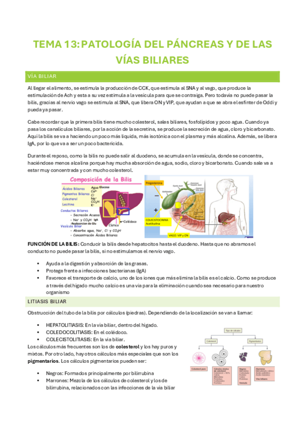 Miniatura del documento TEMA-13.pdf
