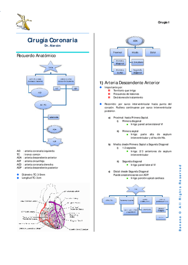 Miniatura del documento 13 Resumen Cirugía Coronaria.pdf