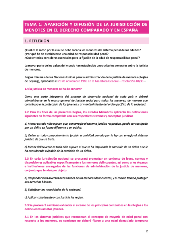 Miniatura del documento TEMA-1-Delincuencia-juvenil.pdf