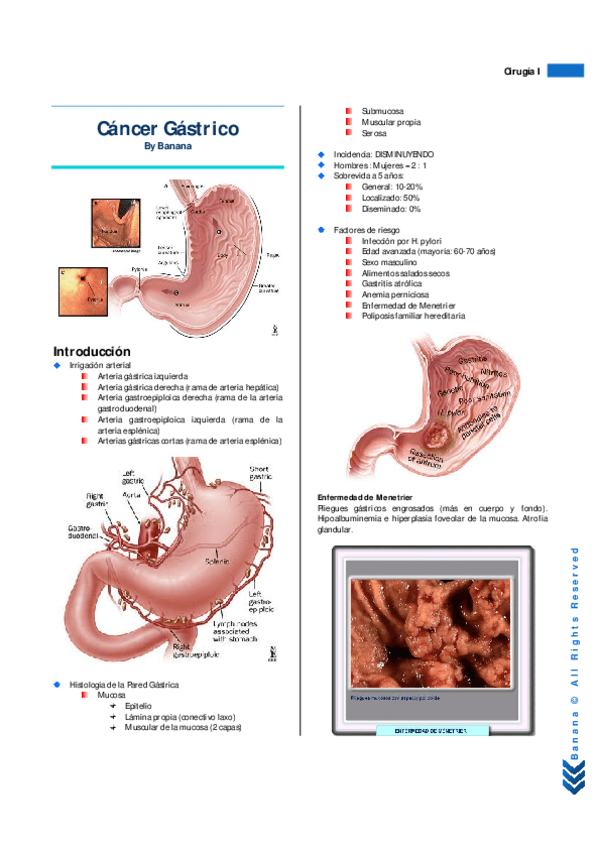 Miniatura del documento Resumen Cáncer Gástrico.pdf