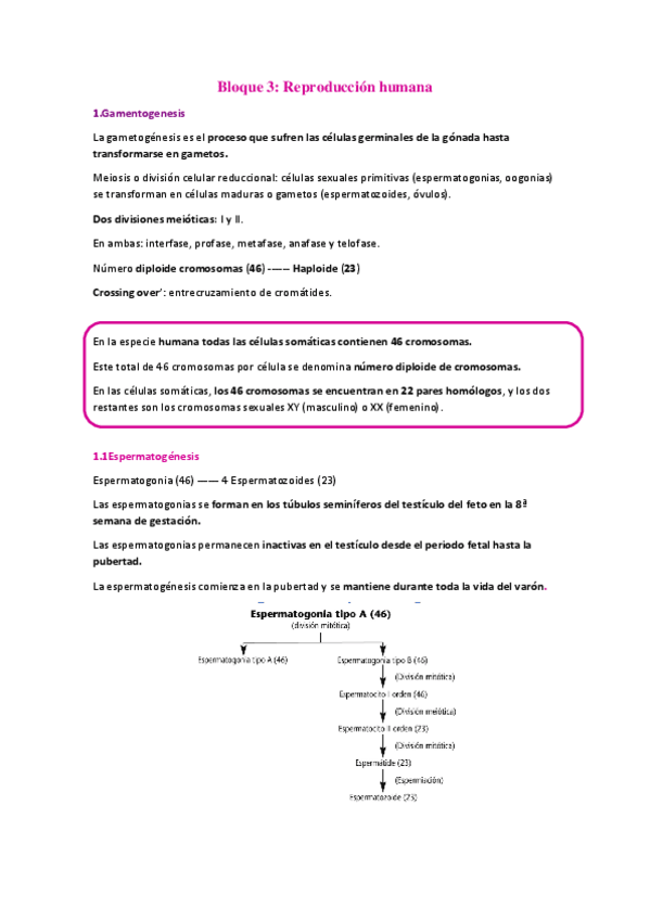 Miniatura del documento Bloque-3-reproduccion-humana.pdf