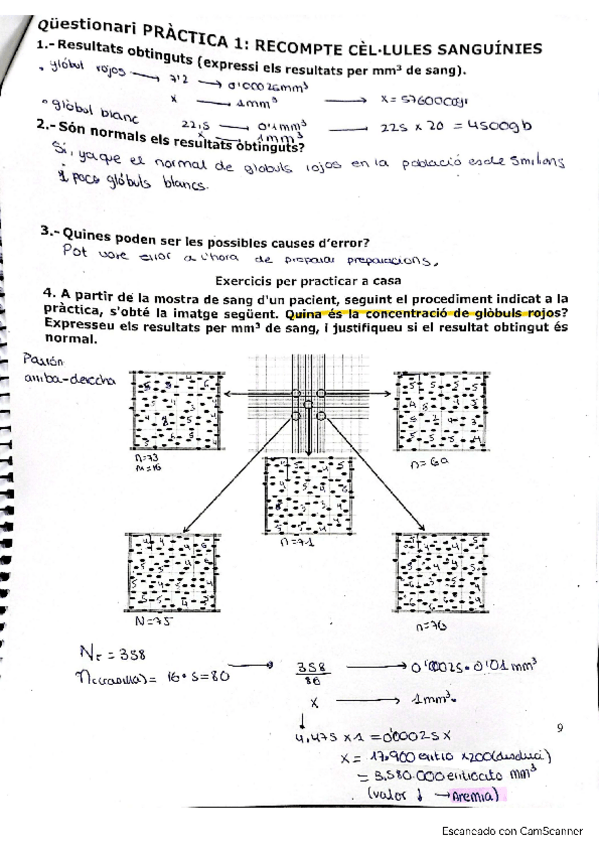 Miniatura del documento practica-1-2-3-Fisio-I.pdf