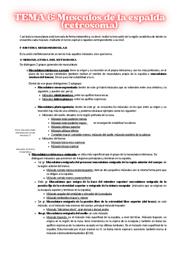 Miniatura del documento tema-6-musculos-de-la-espalda.pdf