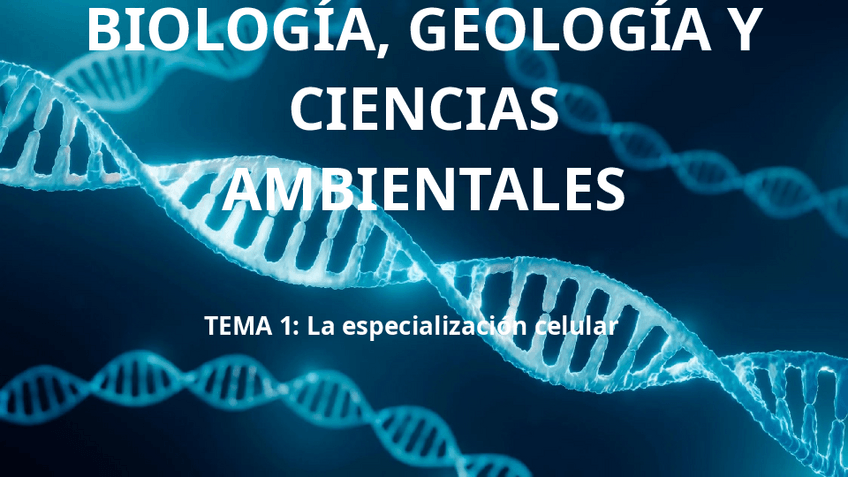Miniatura del documento 1.1-La-base-quimica-de-los-seres-vivos.pdf