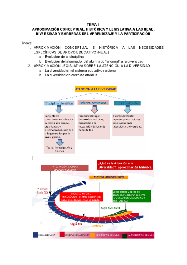 Miniatura del documento TEMA-1-Atencion-a-la-Diversidad.pdf