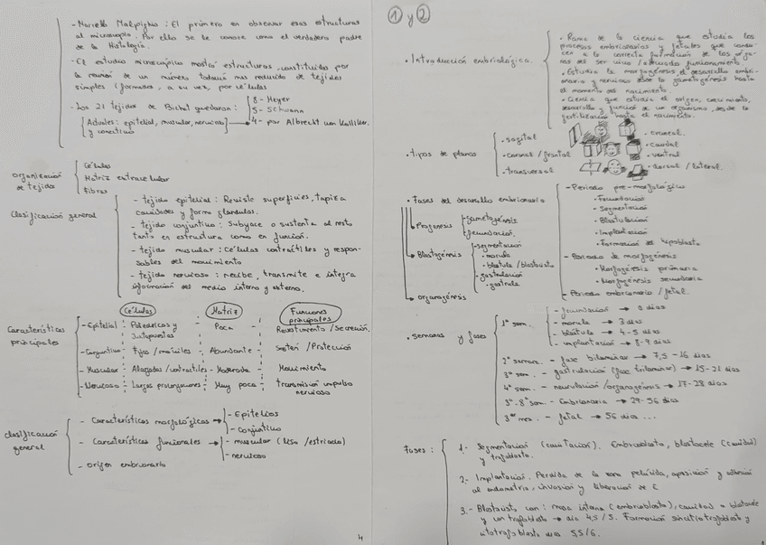 Miniatura del documento CamScanner-13-09-2025-20.271.jpg