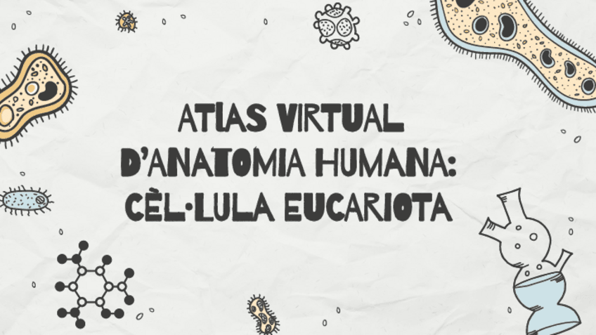Miniatura del documento Atlas-virtual-danatomia-humana-cellula-eucariota.pdf