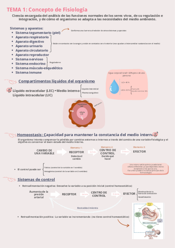 Miniatura del documento T1-Completo-Fisiologia-I.pdf