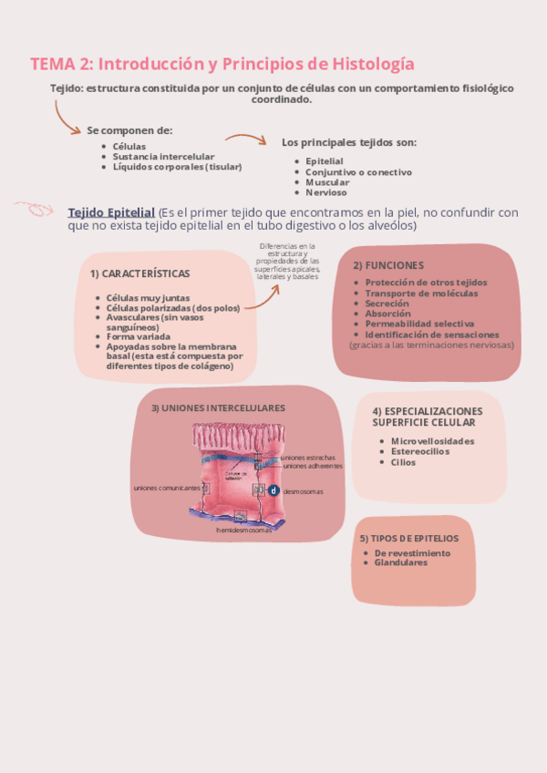 Miniatura del documento T2-Completo-Fisiologia-I.pdf