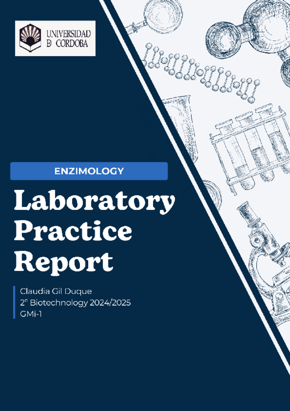 Miniatura del documento Laboratory-Practice-Report.pdf