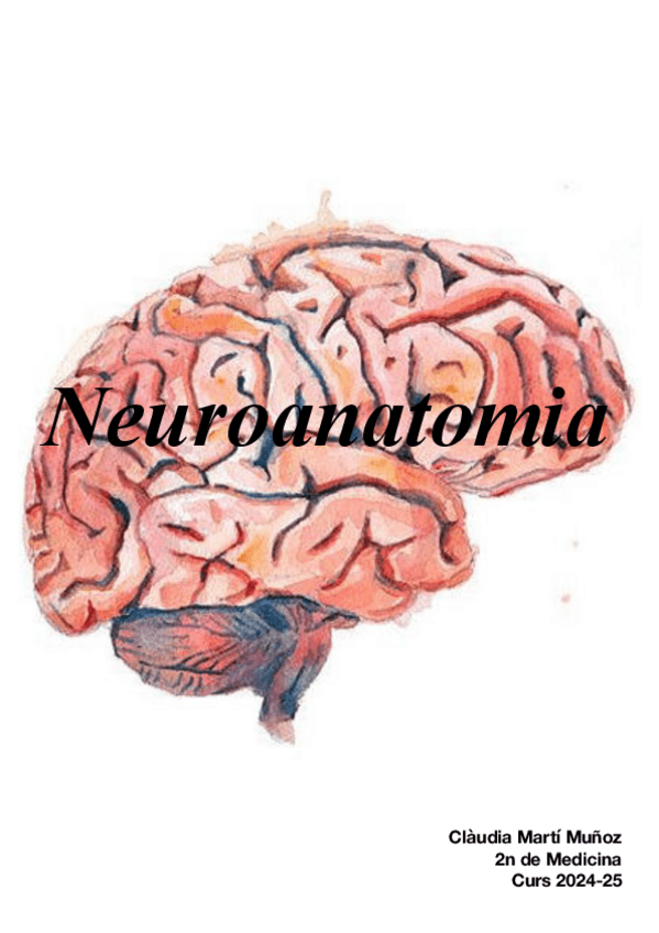 Miniatura del documento Neuroanato-Apunts.pdf