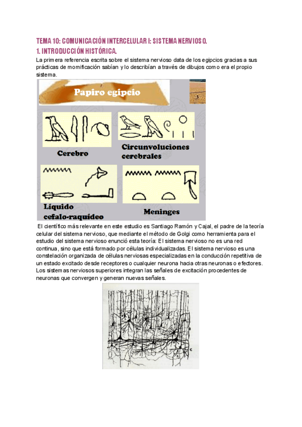 Miniatura del documento tema-10-biologia.pdf