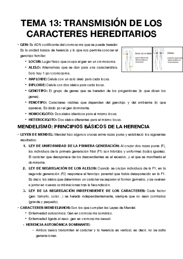 Miniatura del documento TEMA-13-Transmision-de-los-caracteres-hereditarios.pdf
