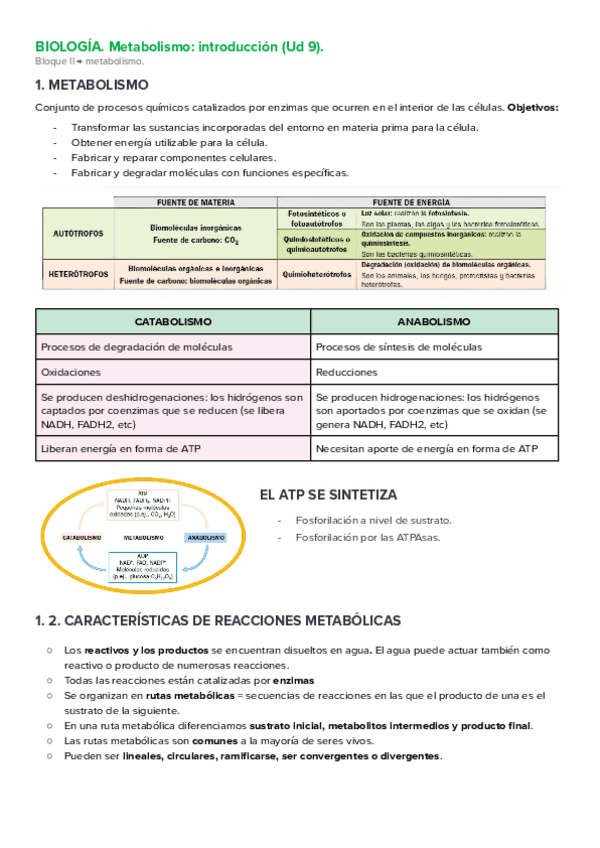Miniatura del documento biologia-ud-9-introduccion-al-metabolismo.pdf