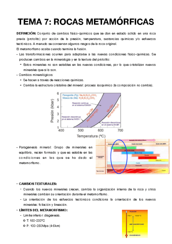 Miniatura del documento TEMA-7-Rocas-metamorficas.pdf